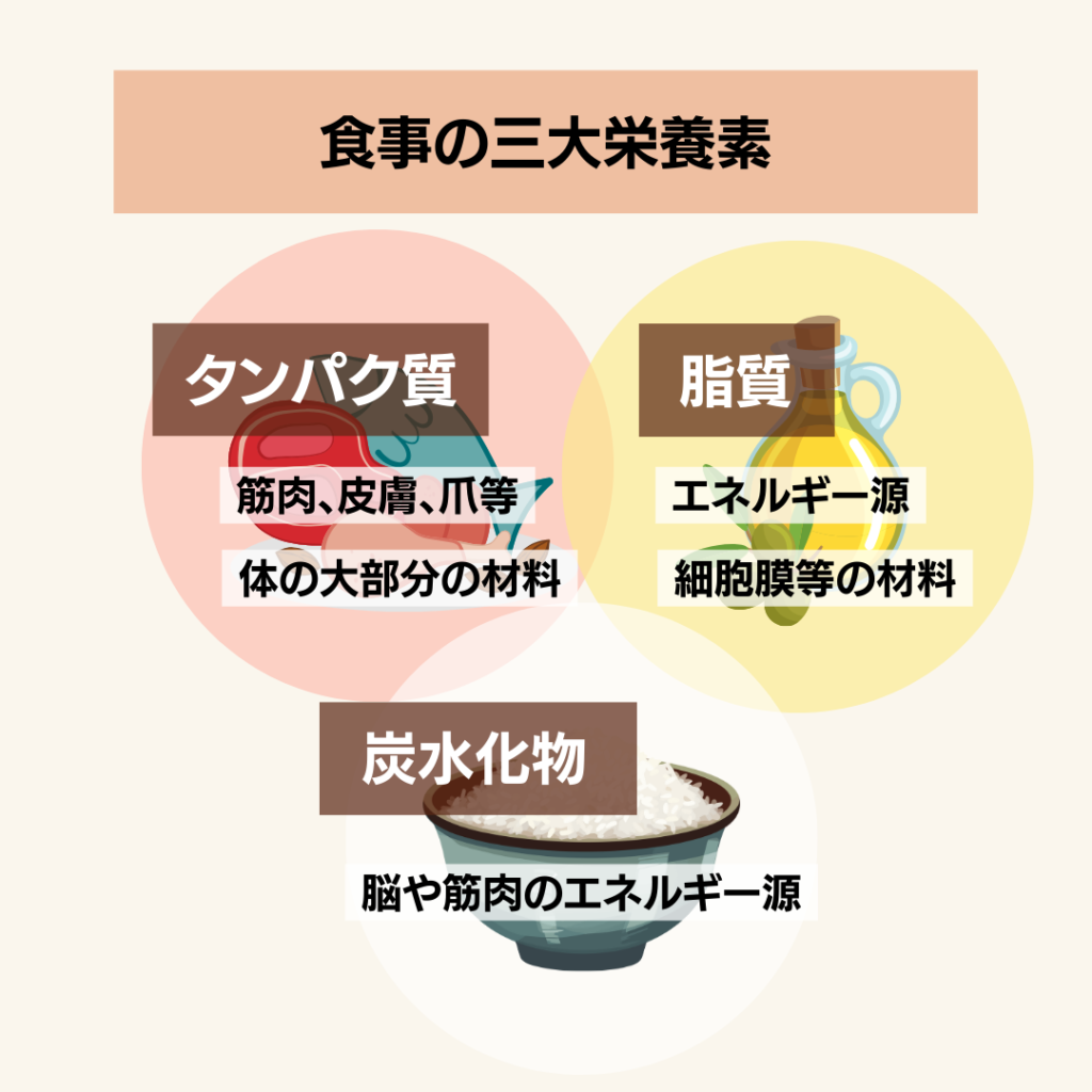 The-three-main-macronutrients